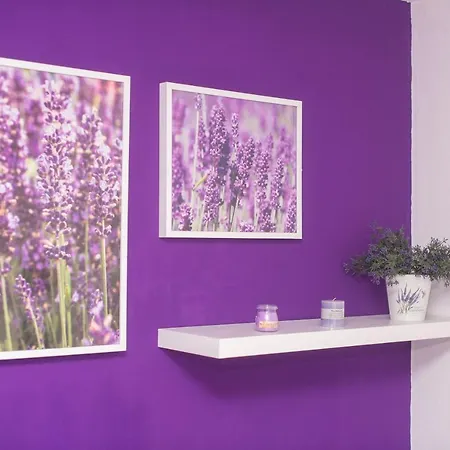 Dijana Apartment *